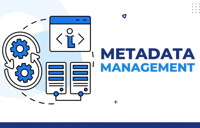Metadata Management, metadata idarəetməsi, meta