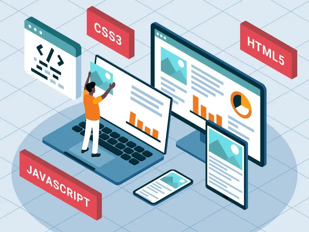 backend, frontend, developer, backend nədir, frontend nədir