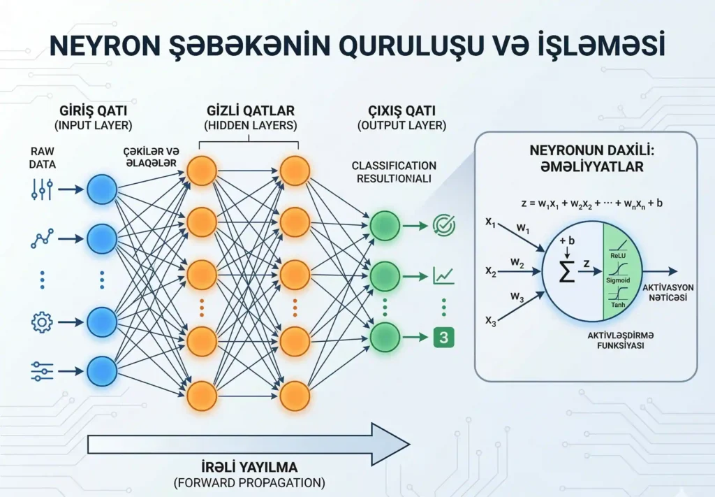 neyron şəbəkələri, neyron şəbəkələrinin quruluşu