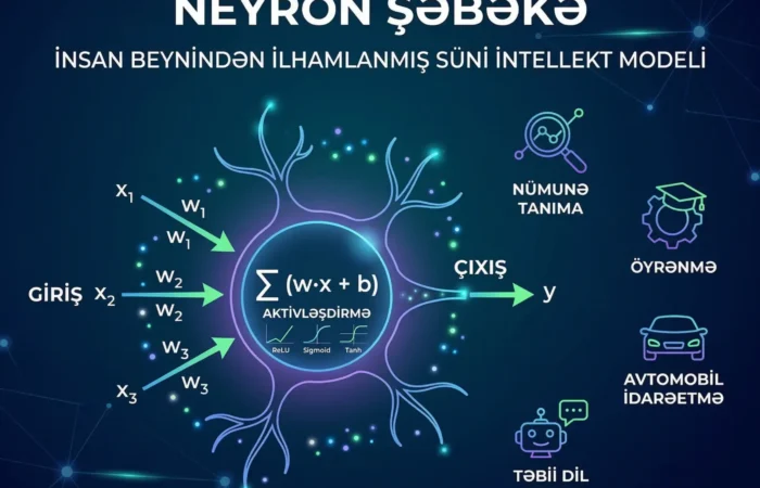 neyron şəbəkələri, neyron sebekeleri