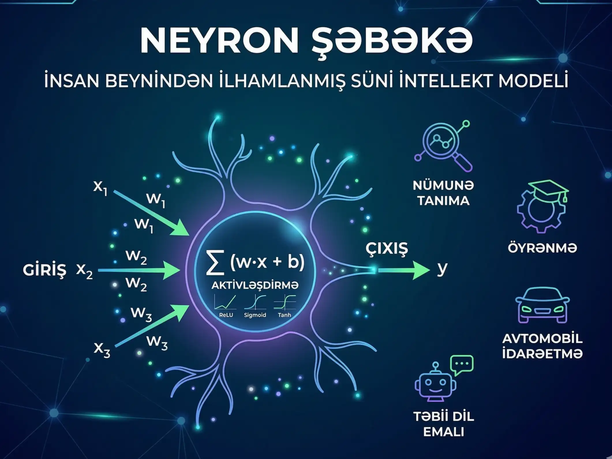 neyron şəbəkələri, neyron sebekeleri