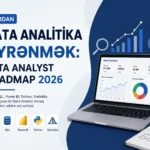 ata analitika, data analitika öyrənmək, data analyst roadmap, data analitika roadmap